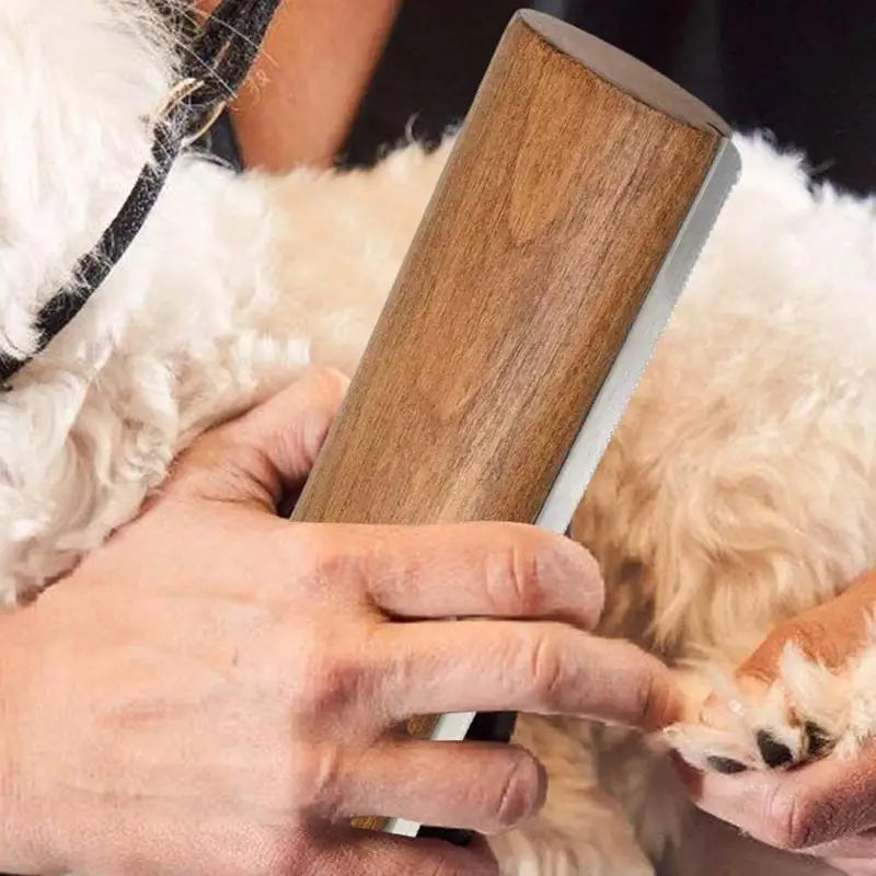 Spazzola per rimuovere i peli del cane Manico in legno Spazzola per cani e gatti Spazzola per toelettatura per gatti e cani per animali domestici Spazzole per toelettatura lunghe e corte