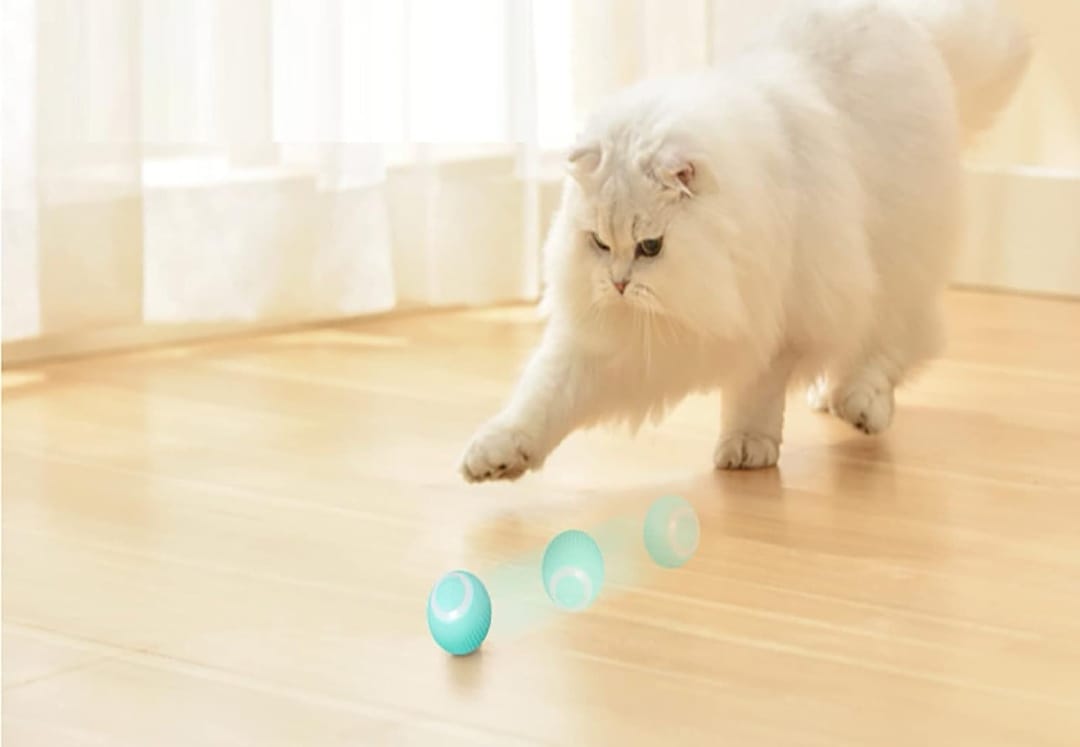 AIRONE Palla giocattolo per gatti interattiva che stimola e diverte