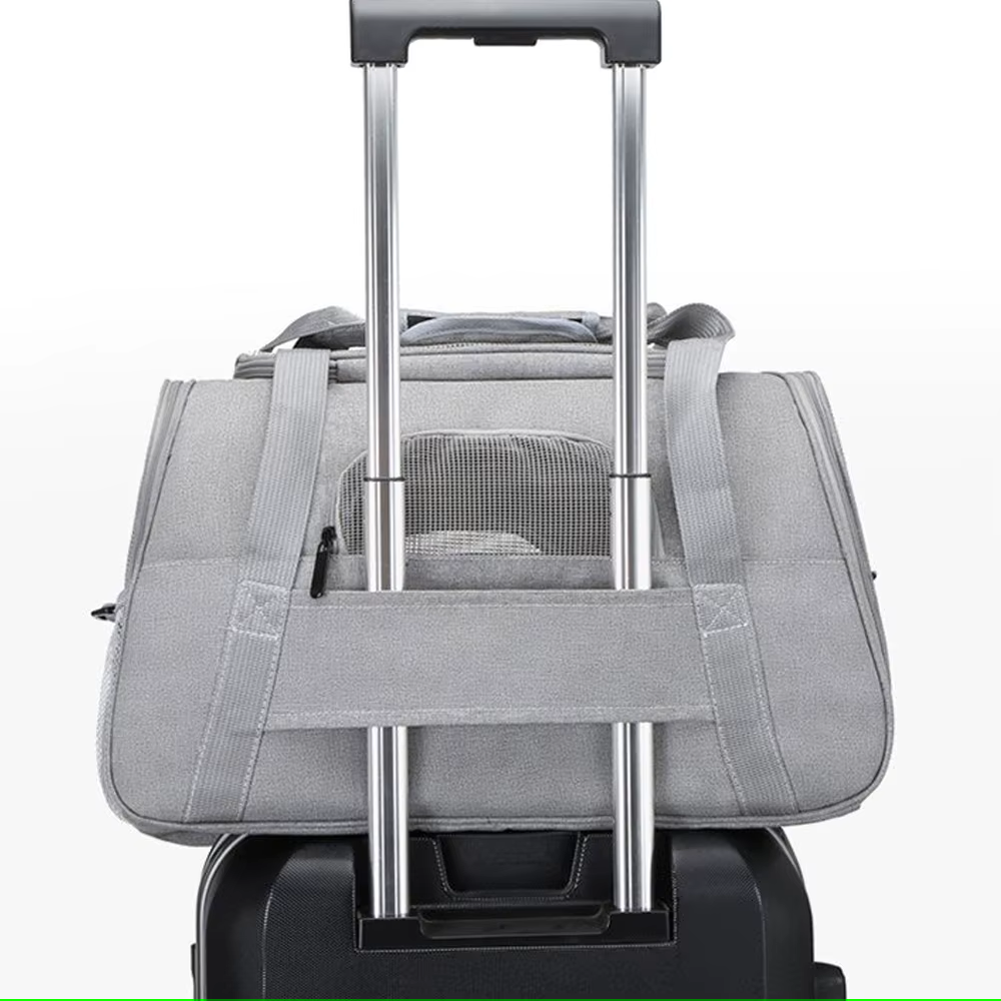 Zaino Trasportino "PetVoyage" — Comodità e stile per viaggi a 4 zampe