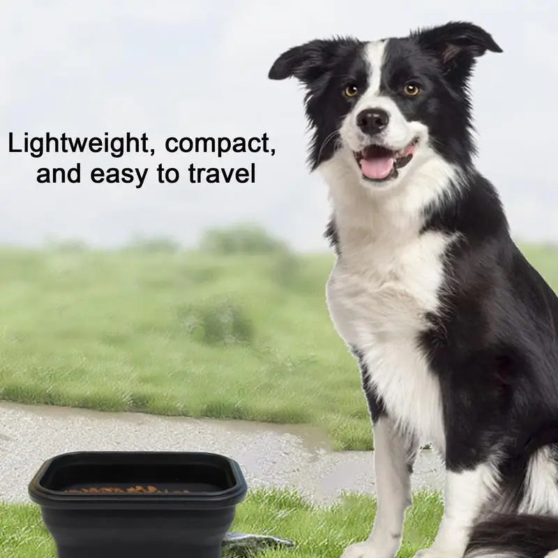 Portable Dog Water Bowl Multifunctional Hygienic Compact Dish Road Trip Dog Eating Bowl Feeding Watering Dish For Walking