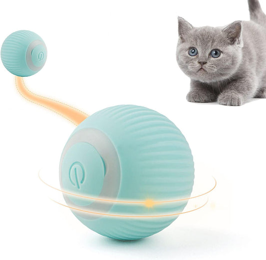 palla per gatti , interattiva